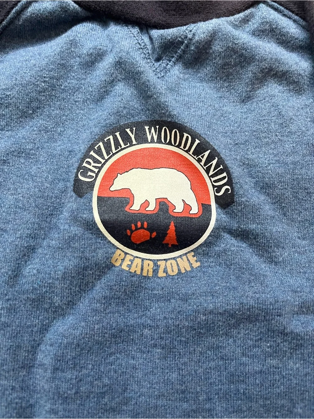 Gymboree Boys' Blue & Black Long-Sleeve Shirt - Grizzly Woodlands Graphic